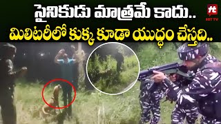 Viral News : Not only a Soldier.. In The Military Even A Dog Fights@HitTVNewsTelugu