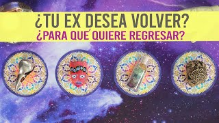 ¿Tu ex DESEA VOLVER?¿PARA QUÉ quiere regresar? - Tarot interactivo