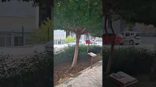 Махмутлар.  Аллея писателей