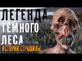 ЛЕГЕНДА ТЁМНОГО ЛЕСА страшная история про монстра на ночь