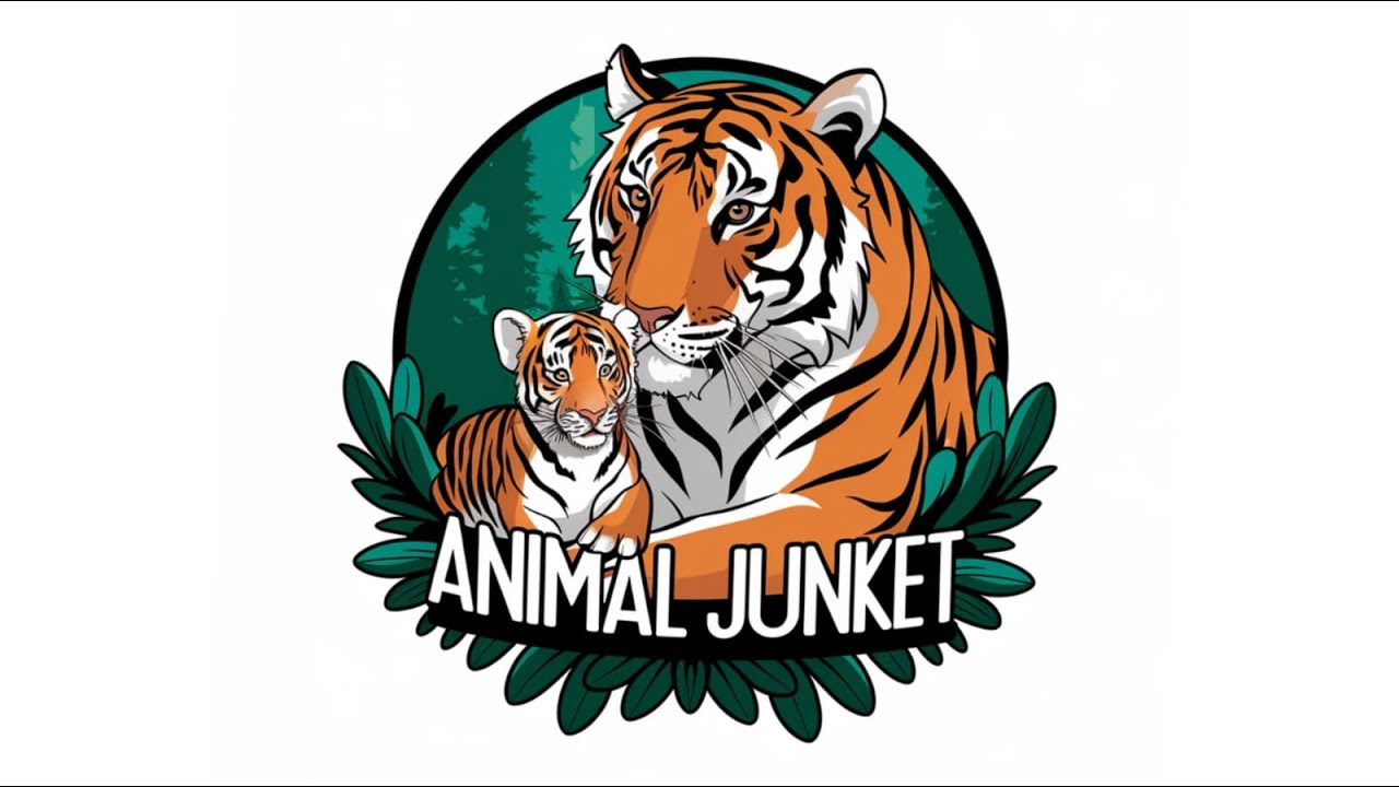 Animal Junket livestream