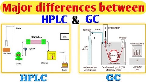 Difference between HPLC and GC | HPLC VS GC | English Excel