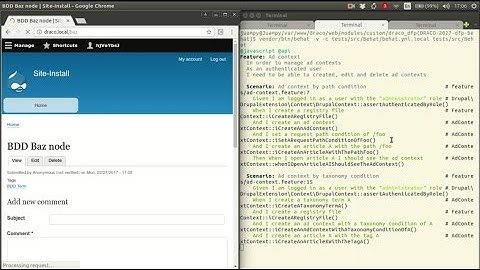 Sample Drupal 8 Behat test