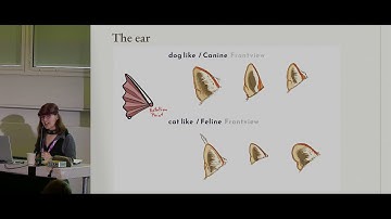 Animals for Games part 2 — Blender Conference 2025