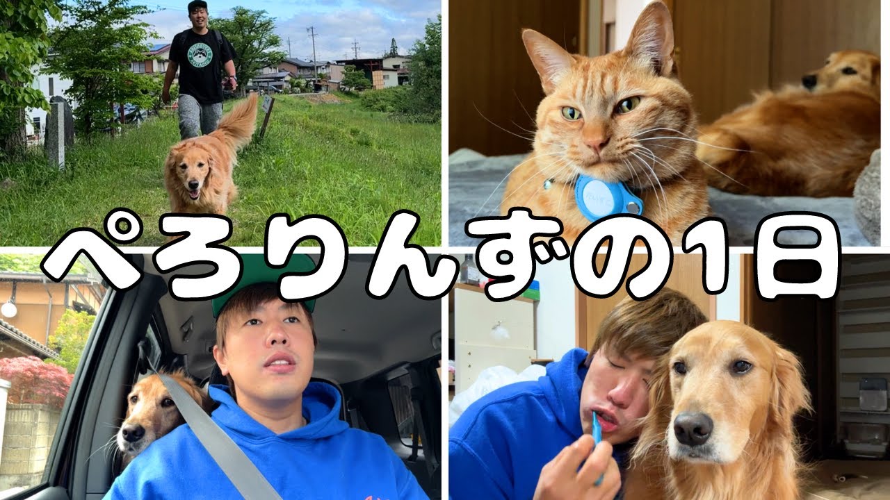 旅してない時のぺろりんずの1日