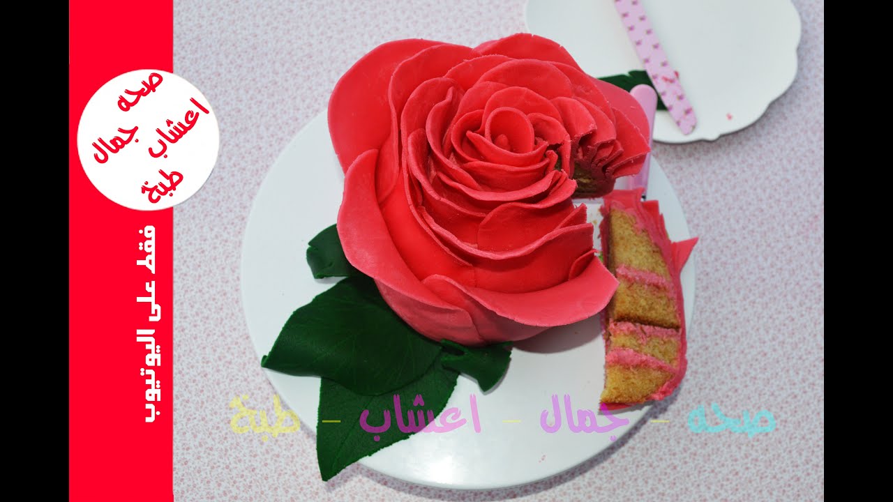 طريقة عمل كيكة عيد ميلاد والمناسبات الراقية تزيين كيك بعجينة السكر بدون ادوات تزين الكيك cake decorating cupcakes decoration food