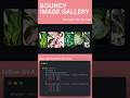 Bouncy Image Gallery Using HTML & CSS | Smooth Animation UI Design Tutorial” #portfoliothemes