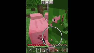minecraft but if i take damage the video ends... | #shorts