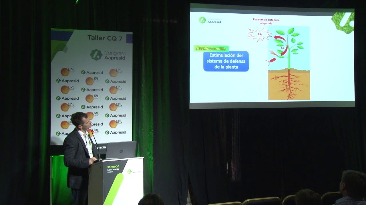 Bacillus Subtilis, la biología al servicio de la protección de semillas
