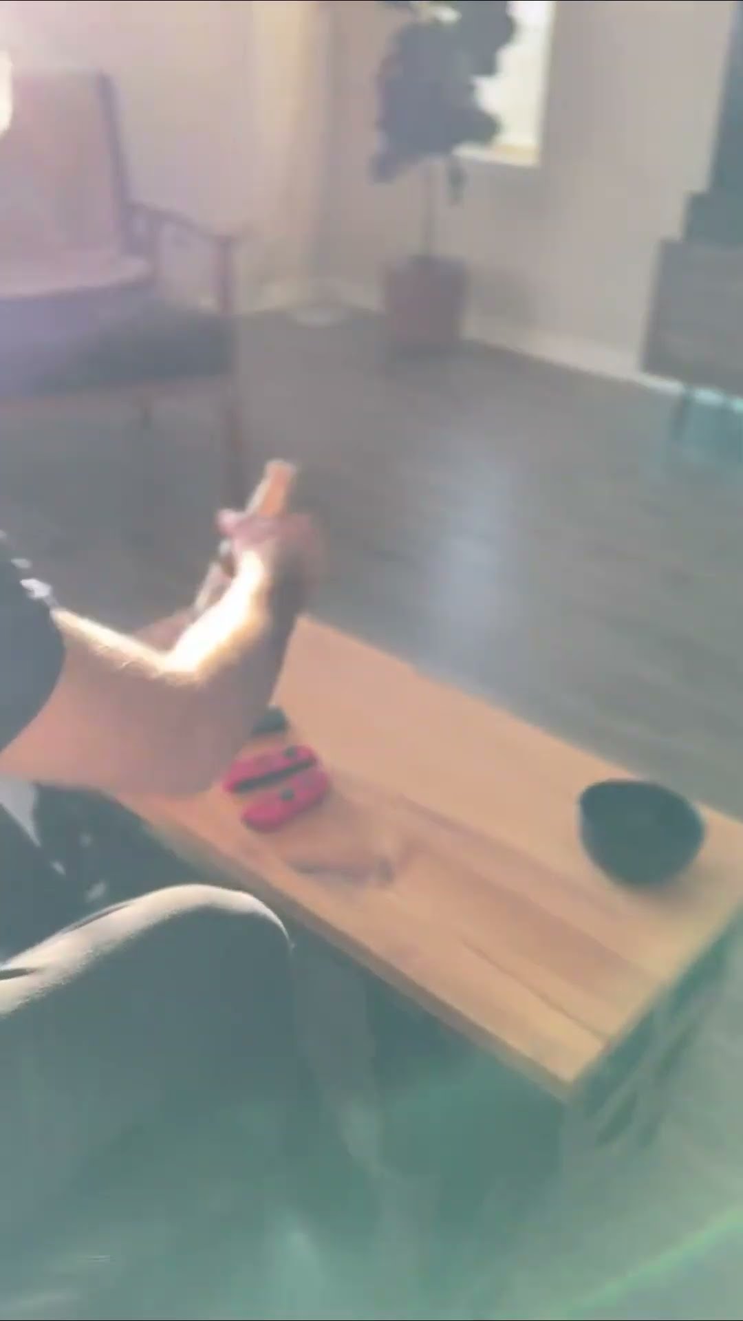 Owning a Pet Table