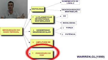 O que resseca o cachorro?