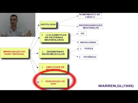 Vídeo: Níveis De Expressão Alterados De Proteínas Associadas à Autofagia Durante O Pré-condicionamento Do Exercício Indicam O Envolvimento Da Autofagia Na Cardioproteção Contra Lesão Mioc