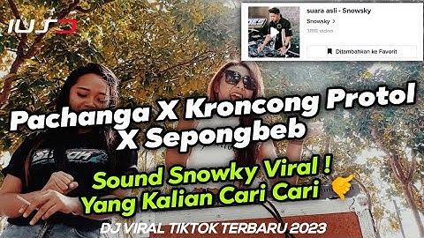 DJ PACHANGA X KRONCONG PROTOL X SEPONGEBOB VIRAL TIKTOK TERBARU 2023 DJ YANG KALIAN CARI ❗
