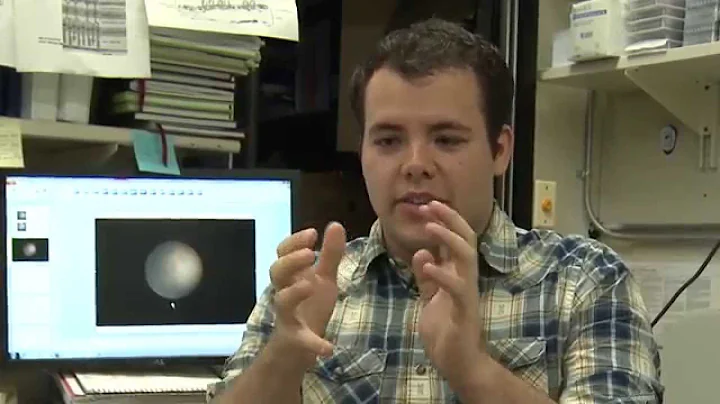 NEI-LabTV Profile: Nicholas Popp, Laboratory of Im...
