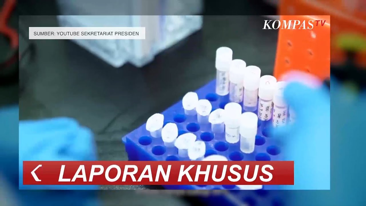 BPOM Klaim Keamanan Vaksin Sinovac - LAPORAN KHUSUS