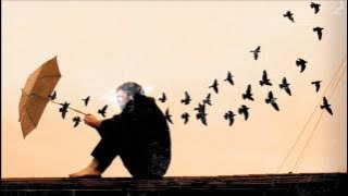 Download lagu Radical Face - Welcome Home, Son