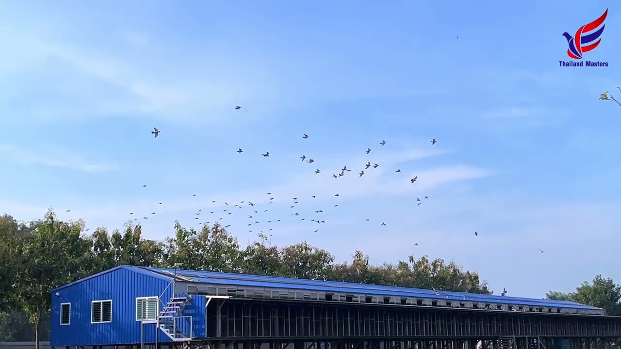 60 Km - Road Training #2