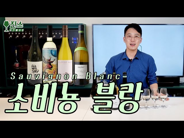 소비뇽 블랑  (Sauvignon Blanc), 같은품종 다른느낌 4종 국가별 비교 테이스팅ㅣ 품종별 취향찾기 class=