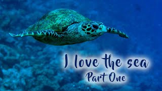 I love the sea - Part One