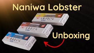 Naniwa Lobster Whetstones - Unboxing and first impressions