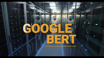 Google Bert Update October 16 2020, What this means for Local SEO [ Convex Studio ]