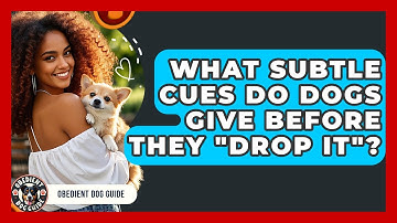 What Subtle Cues Do Dogs Give Before They "Drop It"? - Obedient Dog Guide