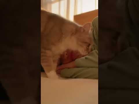 أحلى من أي منبه 