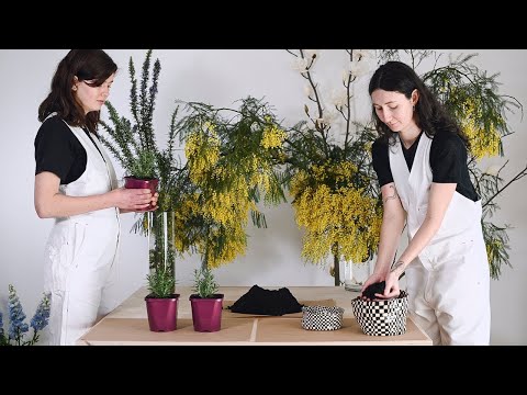 Video: Vilka Blommor Gillar Kvinnor Mest?