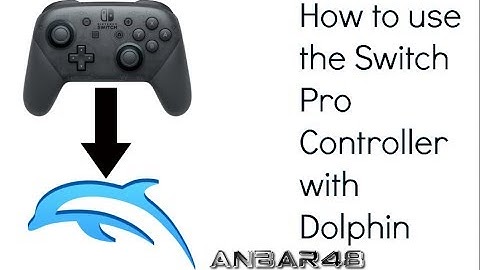 How to use a Switch Pro Controller with Dolphin on Mac or PC