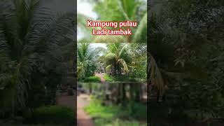Kampung pulau ladi bagian tambak #kampung #suasanakampung #suasanapedesaan #bintan