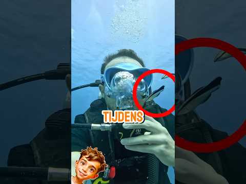 Dat kleine trucje op het einde 🥶🤫 (@vsyakoebivaet_)