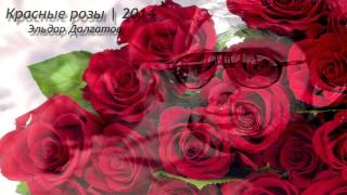 Эльдар Далгатов – Красные розы | 2014