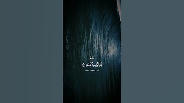 لمن الملك اليوم..القارئ الصغير/عثمان الحداد🌻تدبر🌻