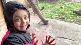 Melisa Hayvanat Bahçesindeki Hayvanları Seviyor.balıkları Elliyor.leoparla Resim Çektiriyor