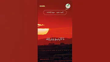 قال انما يتقبل الله من المتقين القارئ الشيخ السيد سعيد 