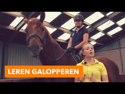 Leren galopperen l PaardenpraatTV