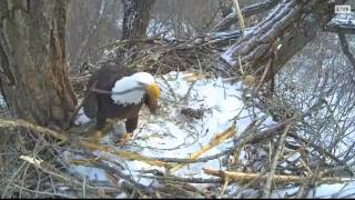 DECORAH EAGLES  12\/30\/2015   9:03 AM  CST   MOM WITH FISH-DEER-DAD WITH STICK