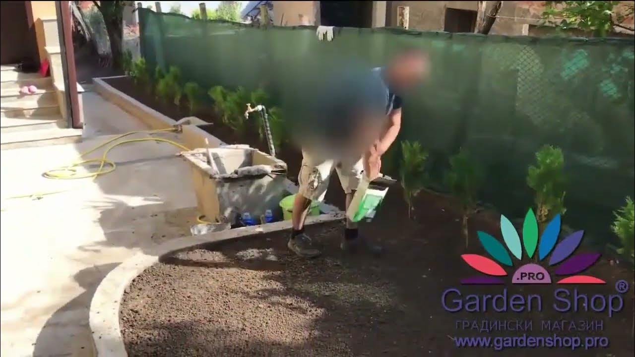 How to grow grass in shade under trees YouTube