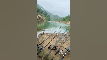 Câu cá sông tự nhiên #cauca #huongdancauca #xuhuong #fishing