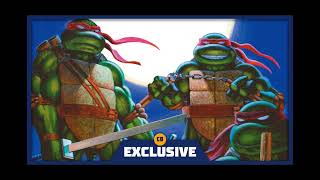 Rare TMNT Comics by Peter Laird to Be Revived by IDW!