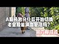 A股极致分化行情,主题切换能成功吗?老登股能满血复活?周六聊投资 Episode cover