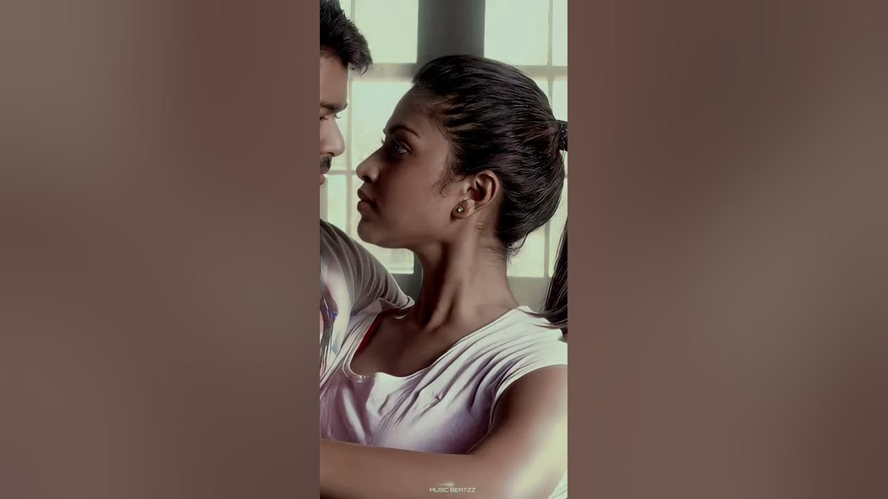 Yaar Indha Saalai Oram || Thalaivaa || Vijay || Amala Paul || Whatapp Status || Full Screen ||