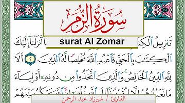 سورة الزمر شيرزاد عبد الرحمن طاهر Surah Al Zomar Sherzad Taher برواية حفص عن عاصم