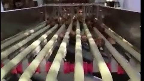 Automatic Date Palm Grading Machine Manufacturer In China From Cara@machinehall.com