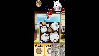 【超縦型配信】初心者～中級者向けエンジョイ配信！【なかちょん。げーむず】
