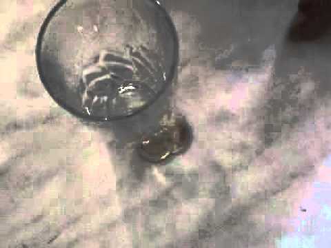 Flipper Coin Half Dollars (D0039) by Tango Magic - Trick – Video 1