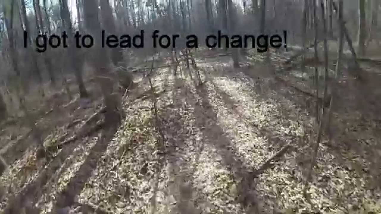 Mountain Biking AccuWeather State College, PA YouTube