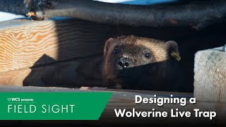 Designing a Wolverine Live-Trap