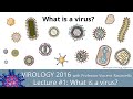 Virology Lectures 2016 #1: What is a virus?