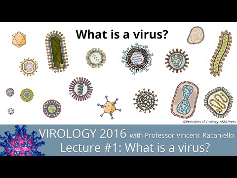Virology Lectures 2016: Retroviral Reverse Transcription - YouTube